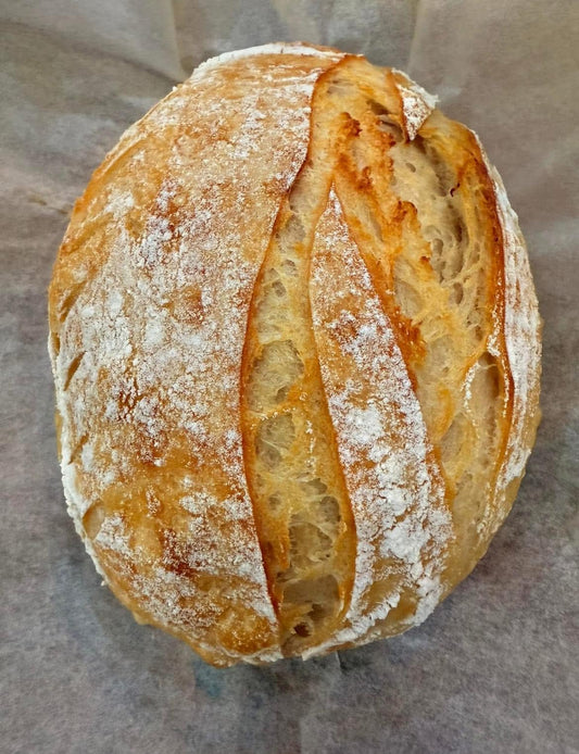 LIQUID Sourdough Starter – Heritage Yeast in Glass Jar – Organic Live Active Culture for Artisan Bread