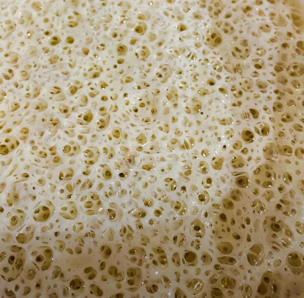 4500 Year old Egyptian Sourdough Starter