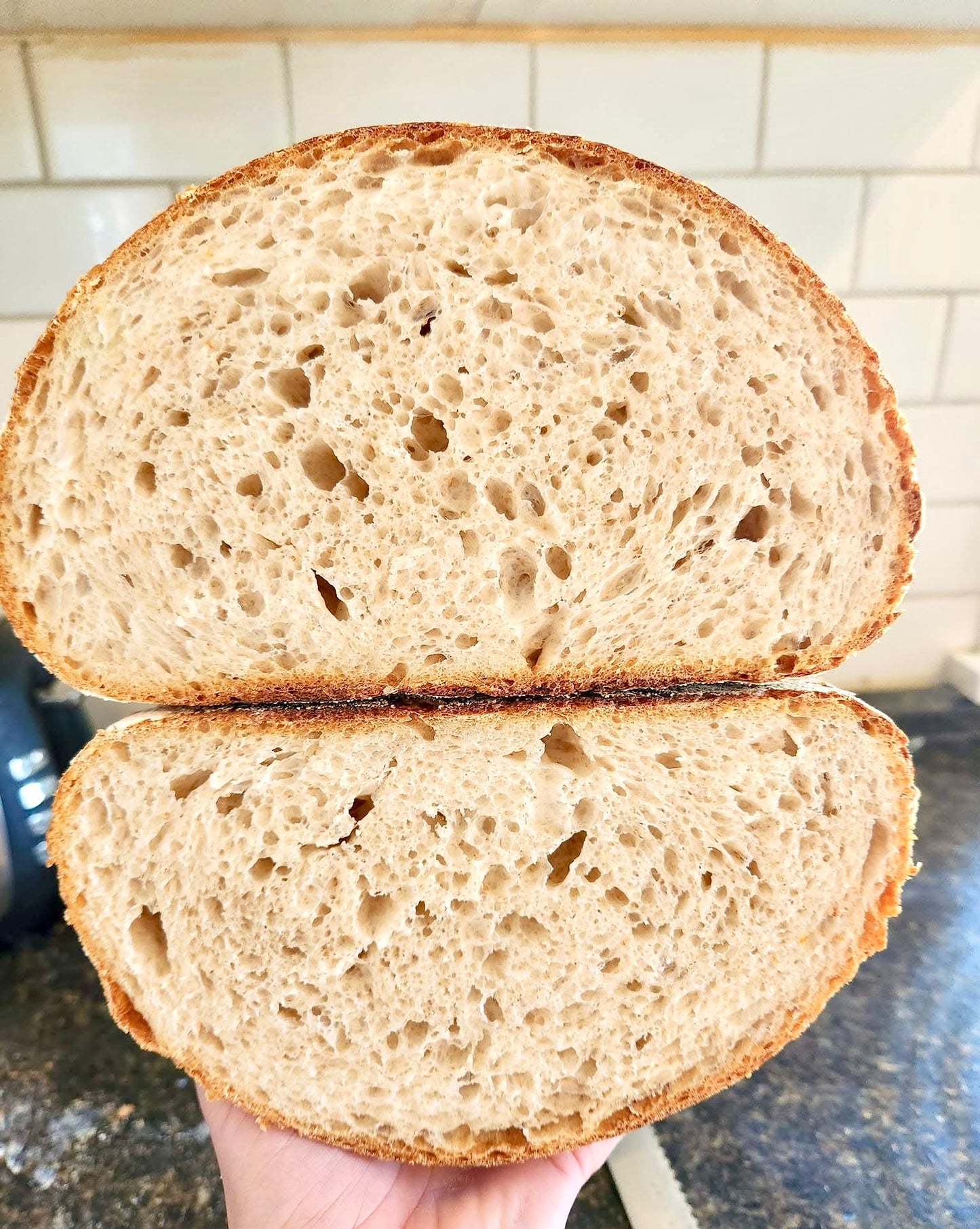 Eve Sourdough Starter