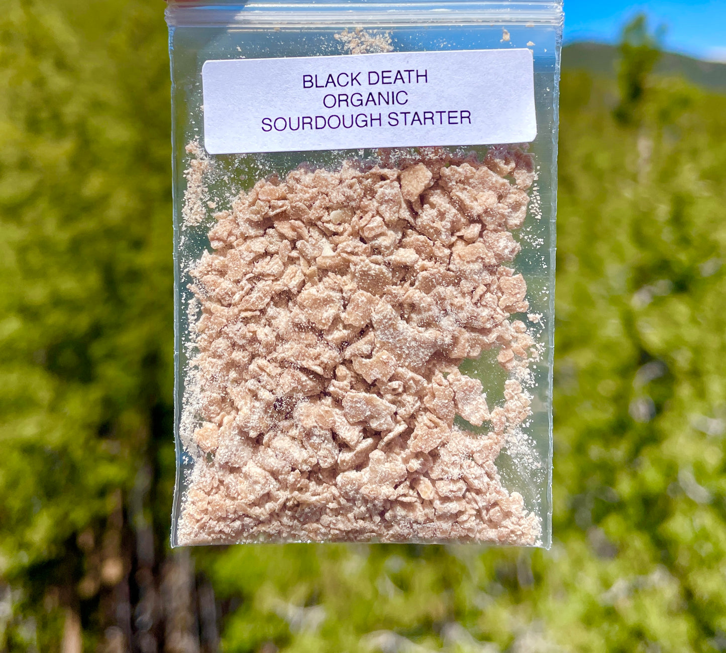 Black Death | Sourdough Starter – Wickedly Sour | Live Dehydrated Yeast Culture