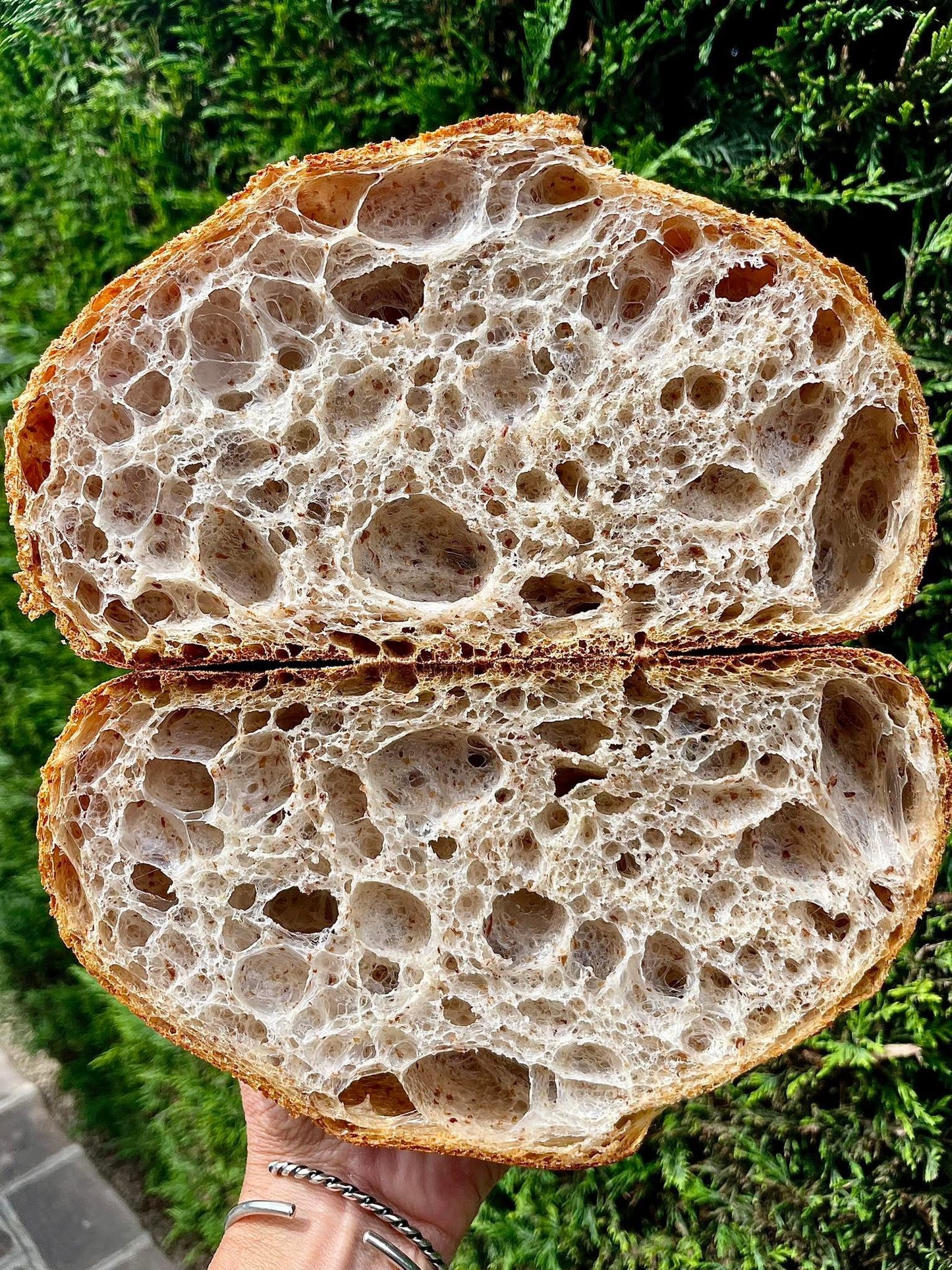 Half-cut loaf of Sourdough bread held in hand with greenery in the background