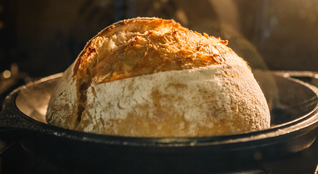 Dehydrated vs. Liquid Sourdough Starter: Which Should You Buy?