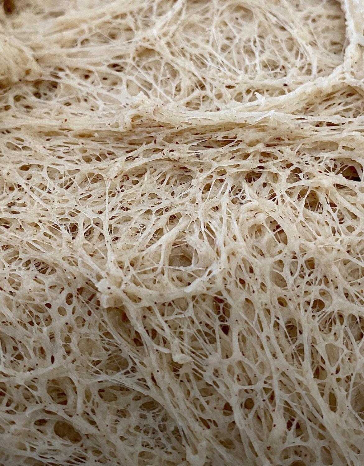 Glass Sourdough Starter Stir Rods | Borosilicate glass