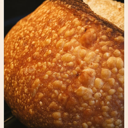LIQUID Sourdough Starter – Heritage Yeast in Glass Jar – Organic Live Active Culture for Artisan Bread