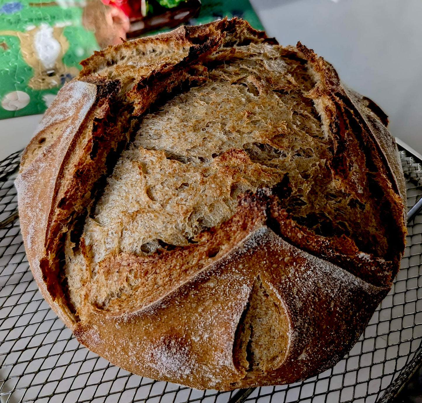 Black Death Sourdough Starter Rye Bread