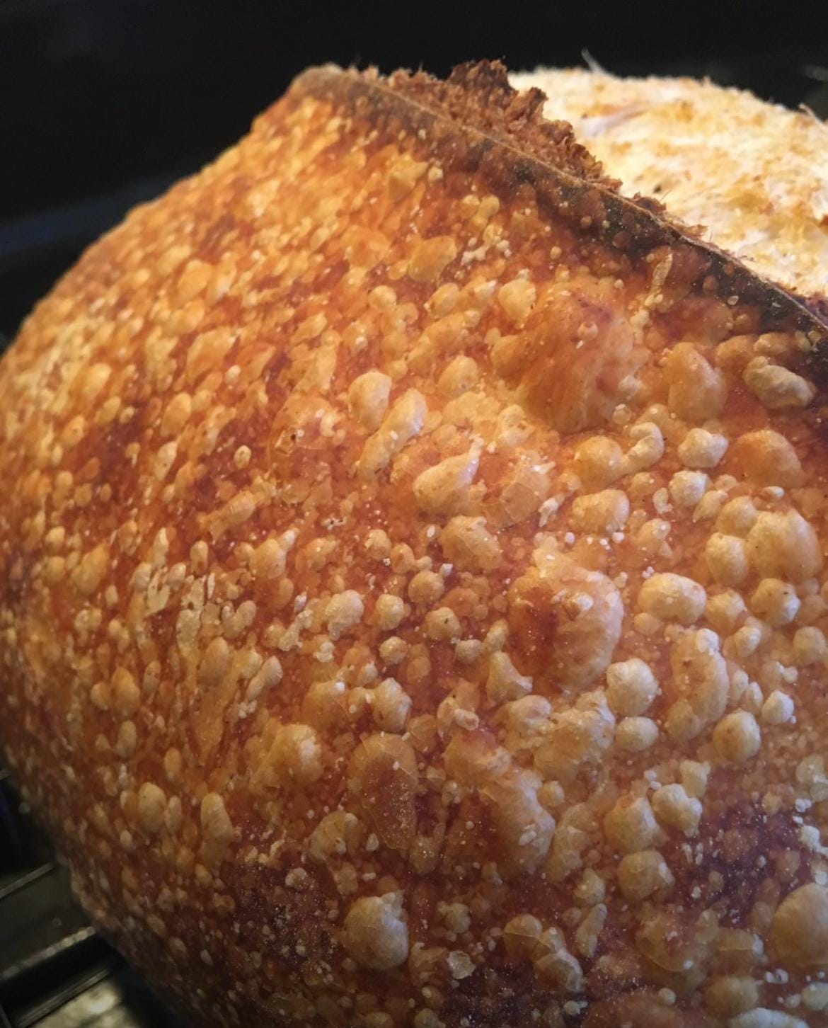 Bubbly Loaf Of San Francisco Sourdough bread