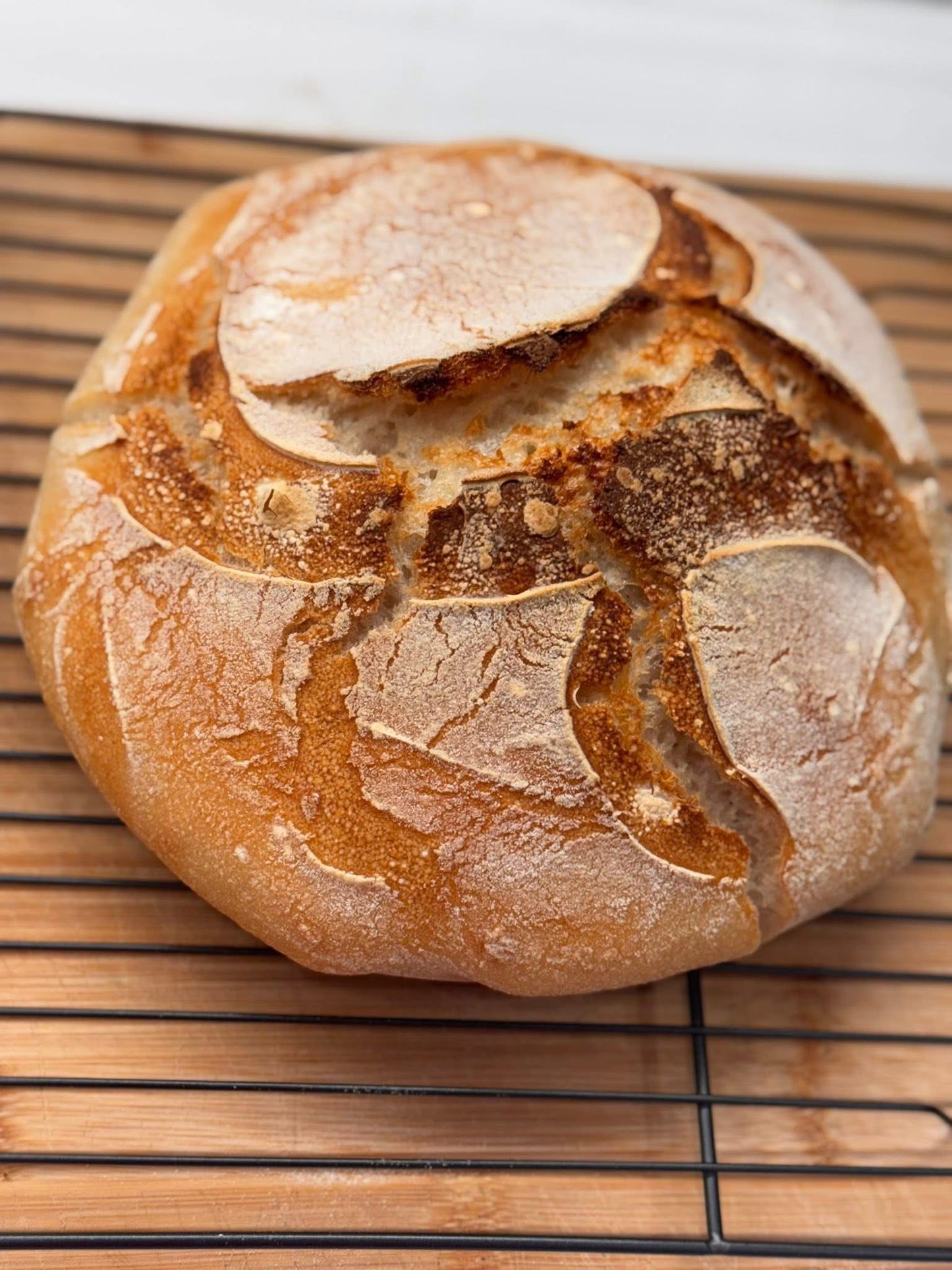 Gluten Free Sourdough Starter