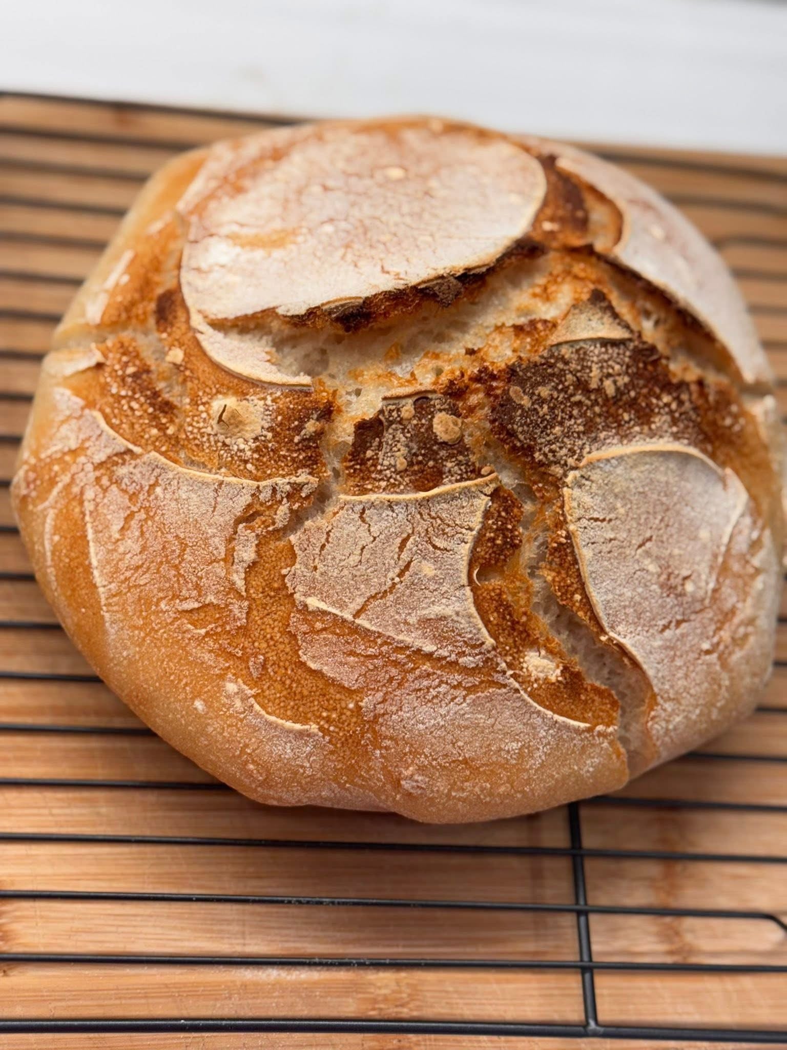 Gluten Free Sourdough Starter