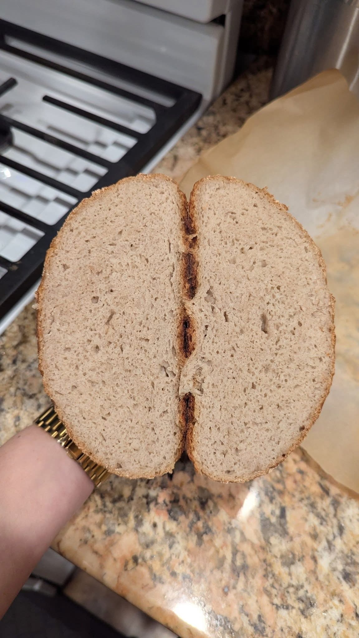 Gluten Free Sourdough Starter Loaf Slice