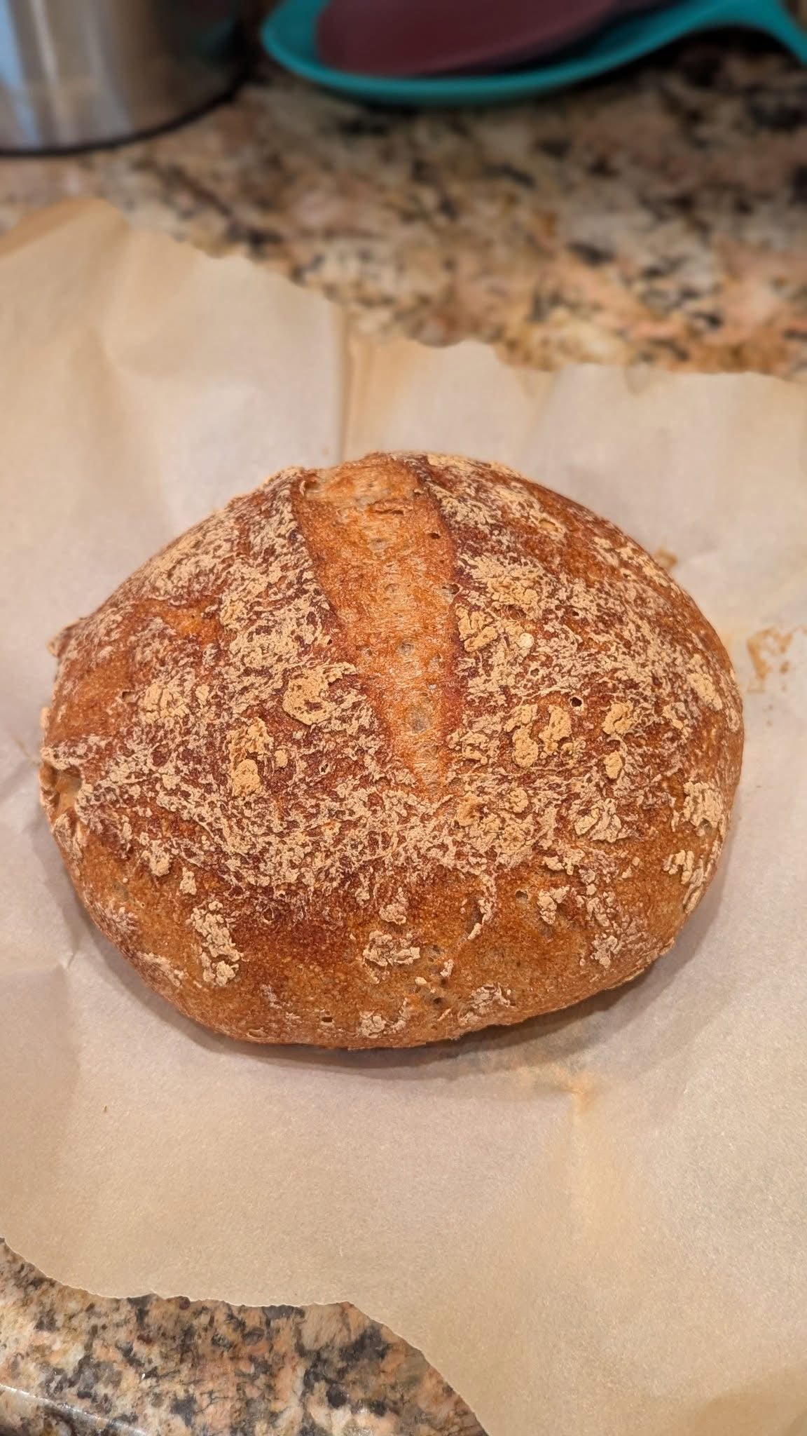 Gluten Free Sourdough Starter on Parchment
