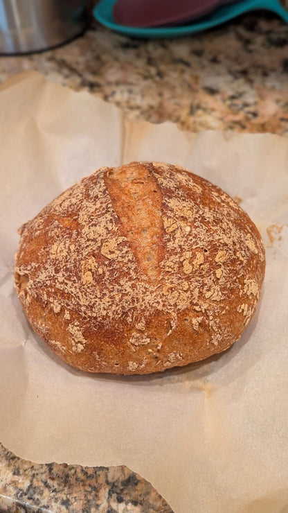 Gluten Free Sourdough Starter on Parchment