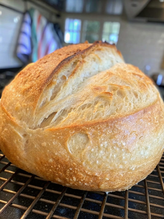 Alaskan Sourdough Starter | Live Wild Yeast Culture from Alaska | Heirloom Frontier Strain