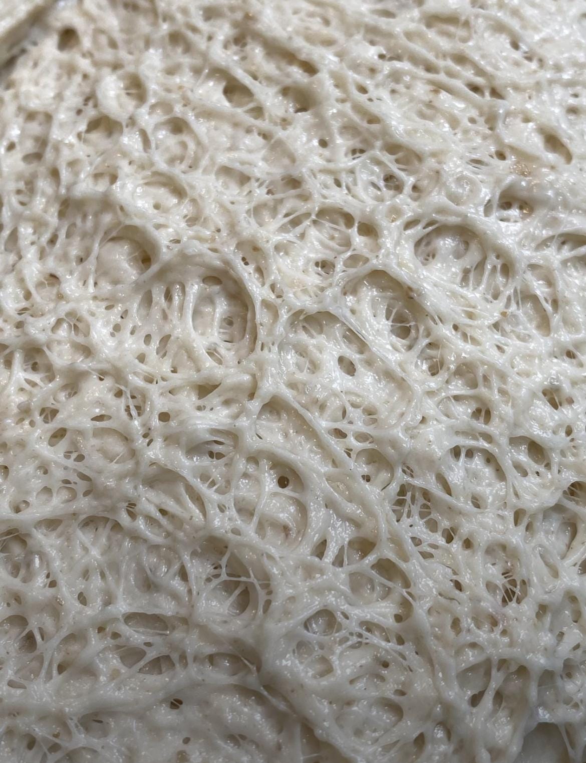 Liquid Sourdough Starter Close up