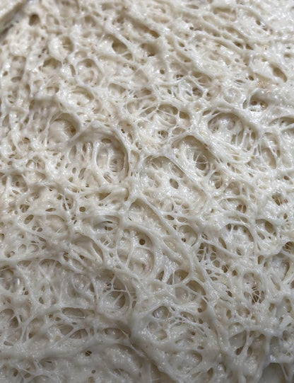 Liquid Sourdough Starter Close up
