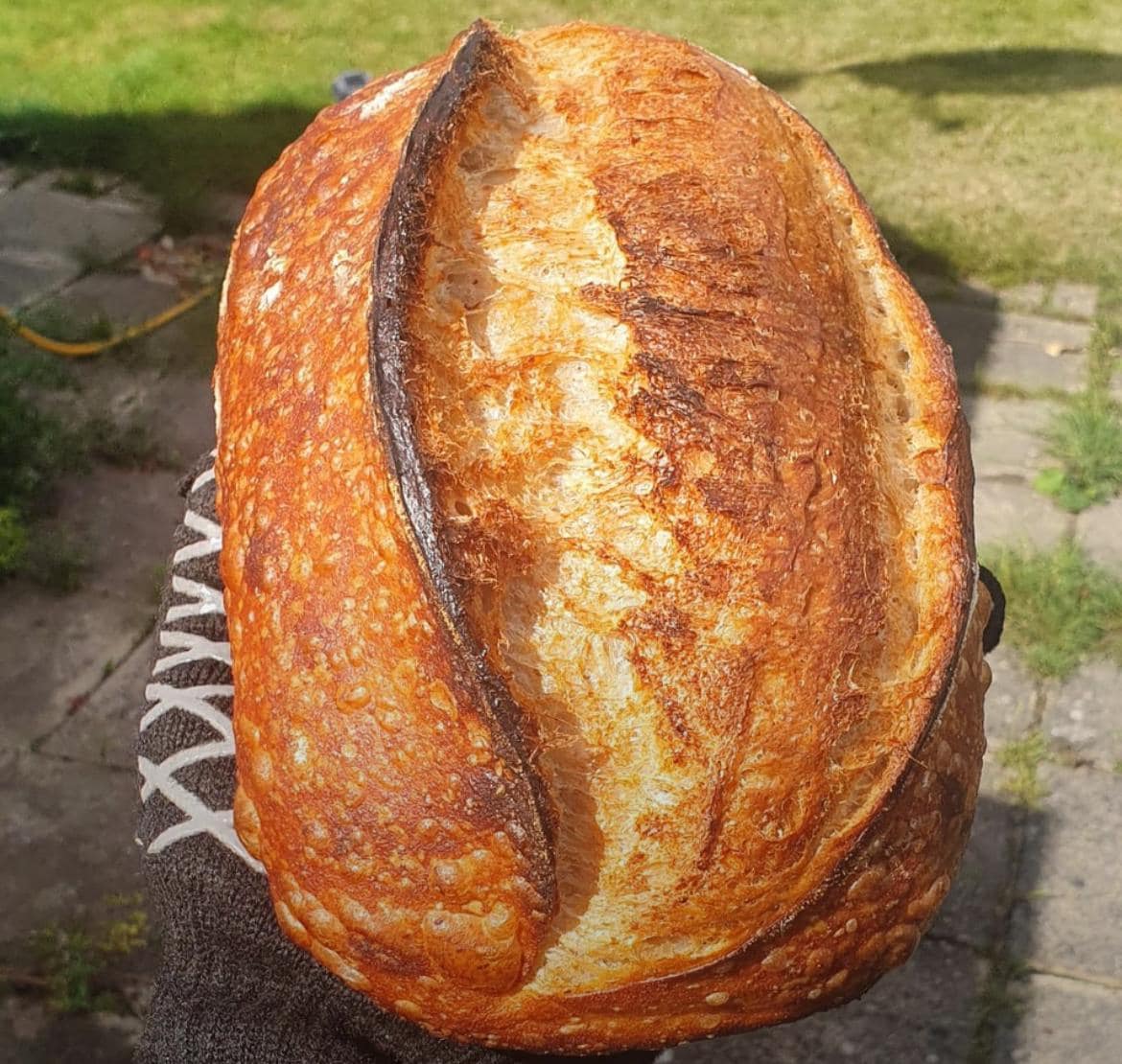 Loaf Of San Francisco Sourdough bread made from Great Grandma's Starter