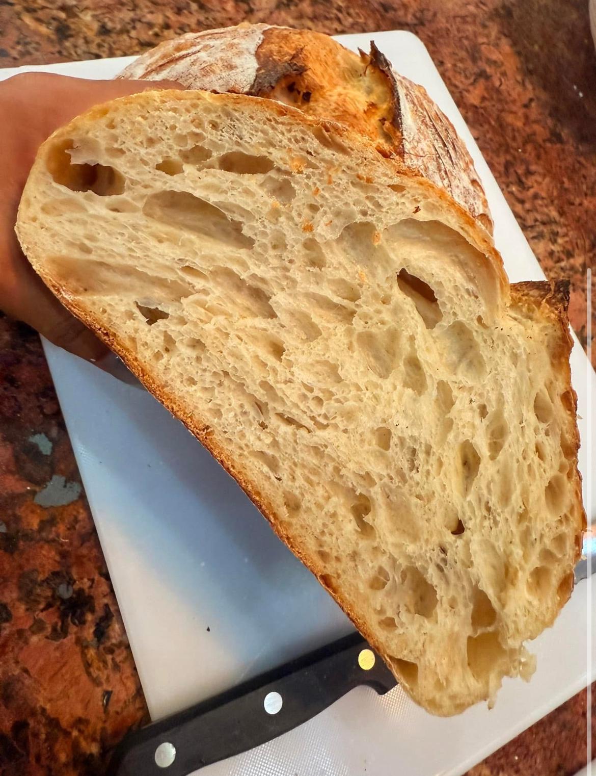 LIQUID Sourdough Starter – Heritage Yeast in Glass Jar – Organic Live Active Culture for Artisan Bread