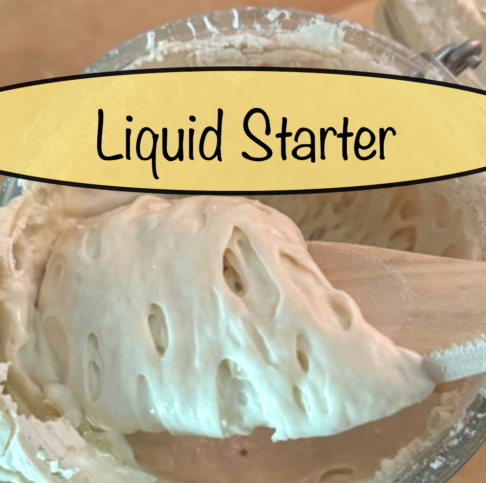 Liquid San Francisco Sourdough starter
